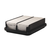 FILTRON AP 176 (A-957, 1378060G00) AP176
