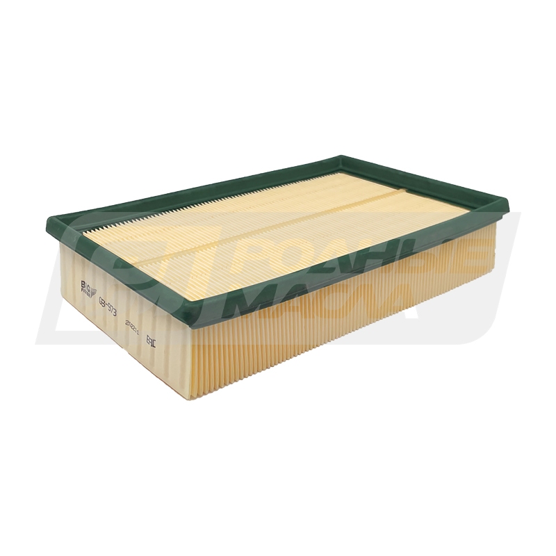 BIG FILTER GB-973 (C28145, LX1596, AP154/3, Nissan 16546114VA) GB973